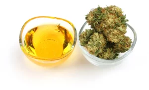 Cannabis testing flower and oil